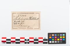 Etikett zu Bronzearmreif (NHMW-PRAE-024544)